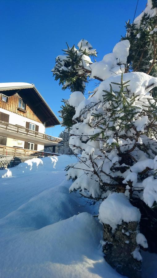 Appartement Haus Wastl à Russbach am Pass Gschütt Extérieur photo